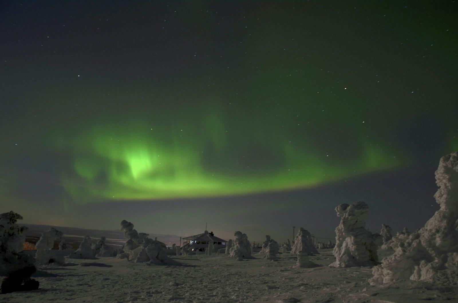 Northern lights over the forest in Levi