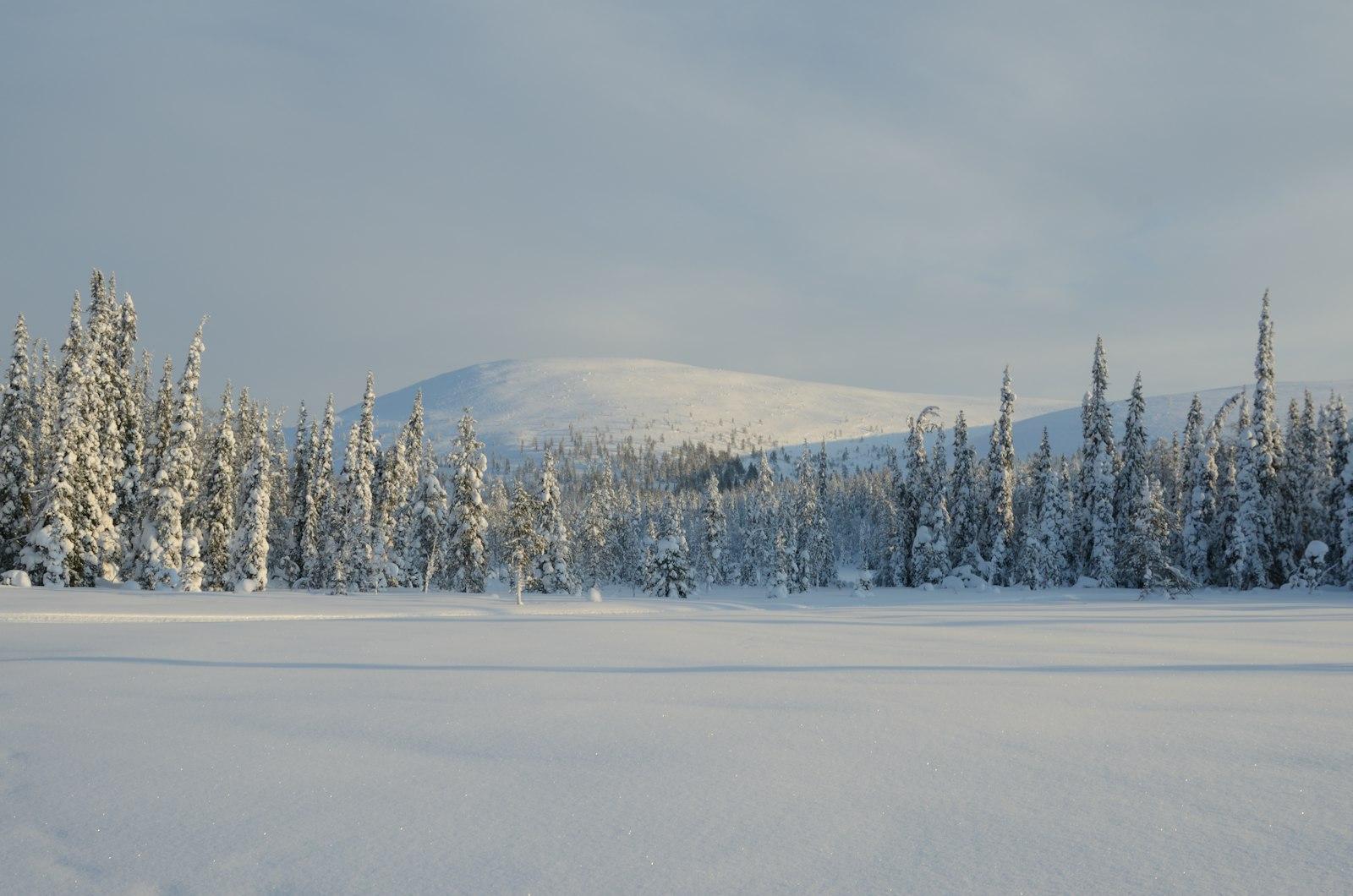 Snowy fell landscape at Äkäslompolo