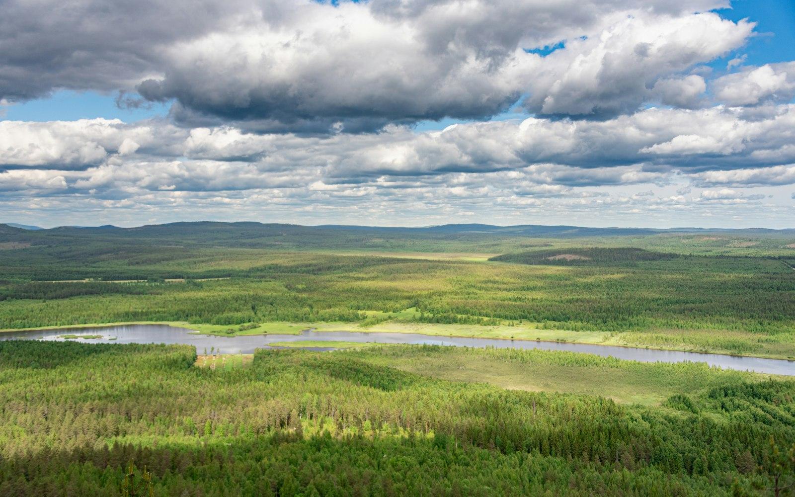 Pallastunturi fells in summer, Pallas-Yllästunturi National Park
