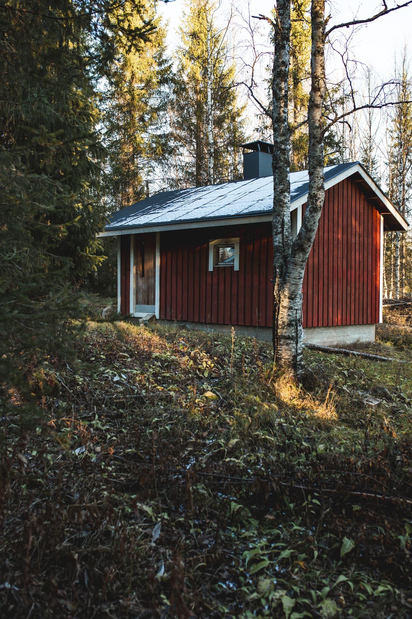 Mökki koivujen ja kuusten keskellä