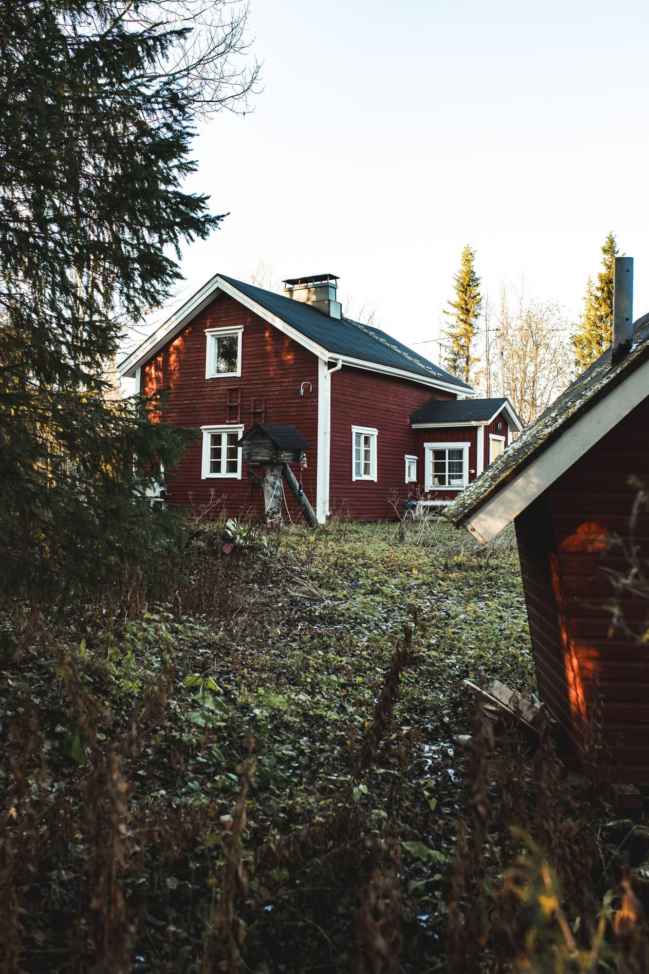 Mökki metsästä katsottuna
