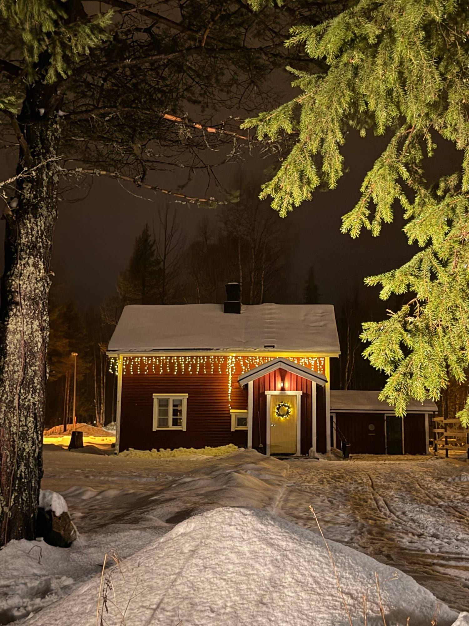 Mökki kuusen oksien takaa illalla