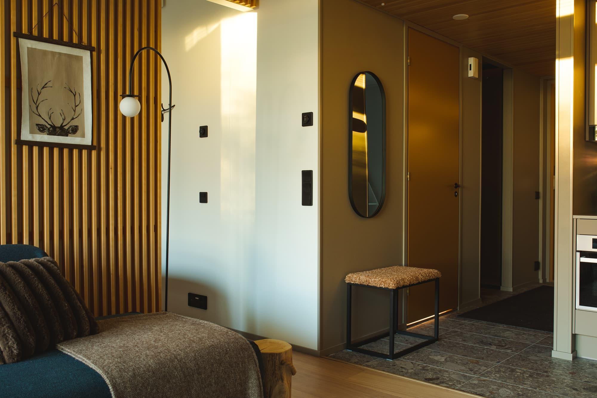 Living room and entrance